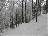 Koča pri Savici - Planina Lopučnica